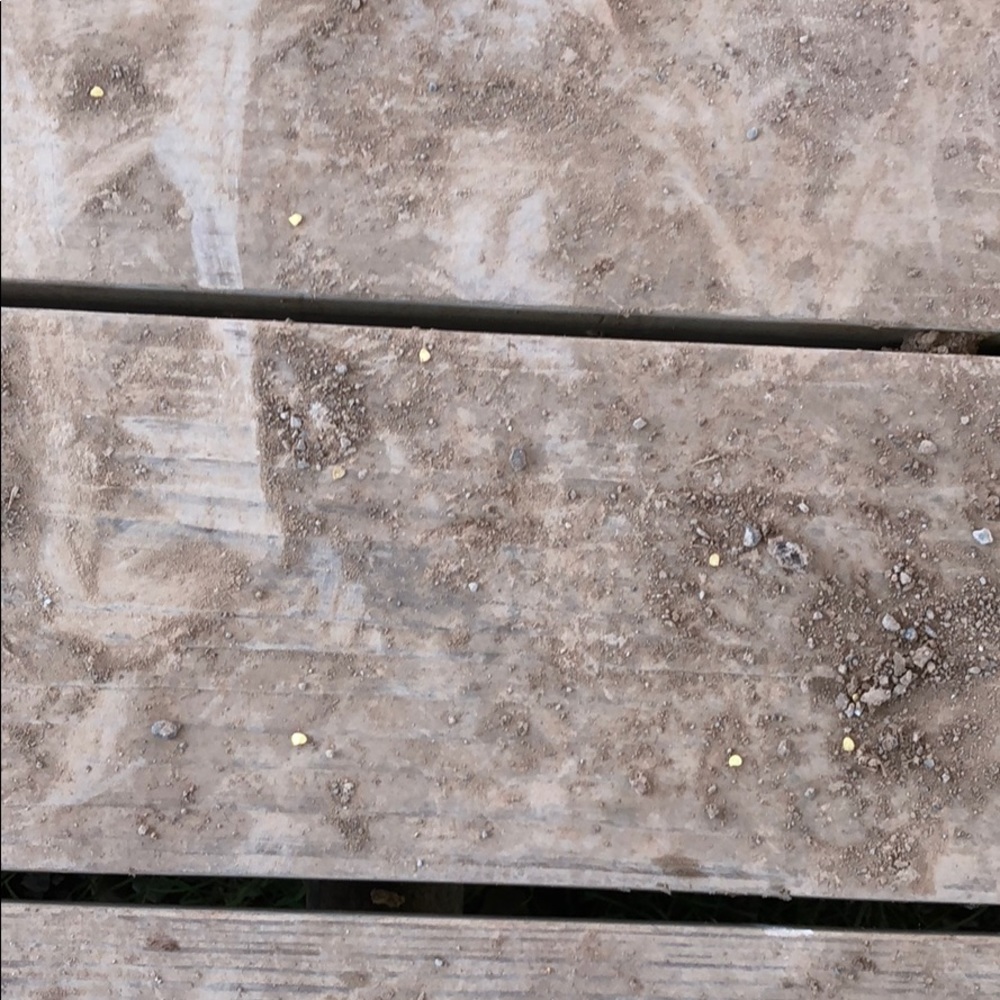 Meet your Posher, Carlos